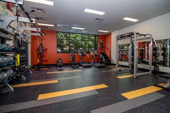 24-Hour fitness center with free weights and cardio machines